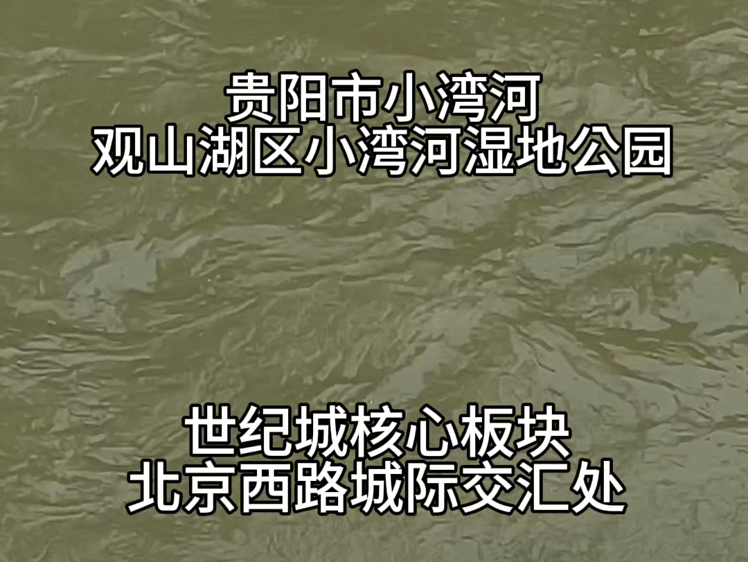 @贵阳房产尖叫哥 #贵阳房产尖叫哥 贵阳市小湾河观山湖区小湾河湿地公园世纪城核心板块北京西路城际交汇处哔哩哔哩bilibili