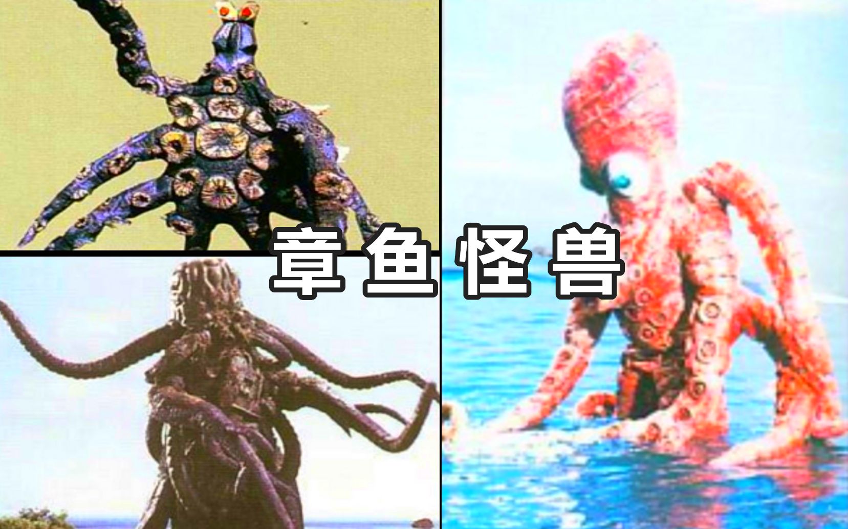 章鱼怪兽特贡图片