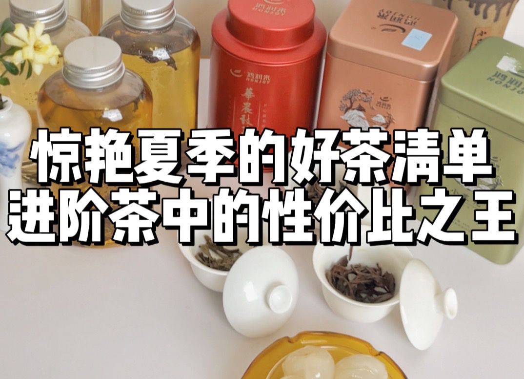 惊艳夏季的好茶清单~进阶茶中的性价比之王哔哩哔哩bilibili