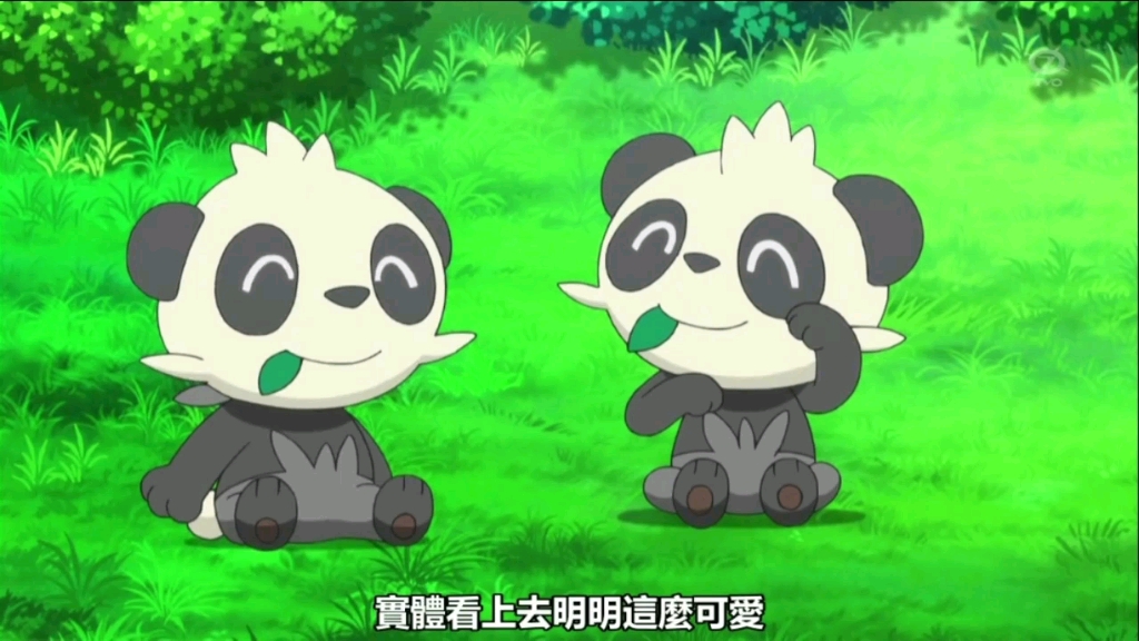 活动作品宝可梦图鉴淘气熊猫