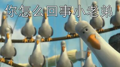 <em class="keyword">海底总动员</em>里魔性的海鸥叫-买买买！！