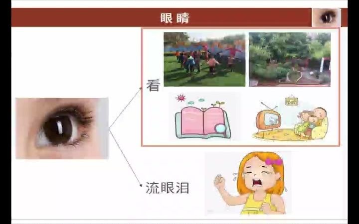 [图]幼儿园中班健康《认识五官》优质课视频公开课教学视频