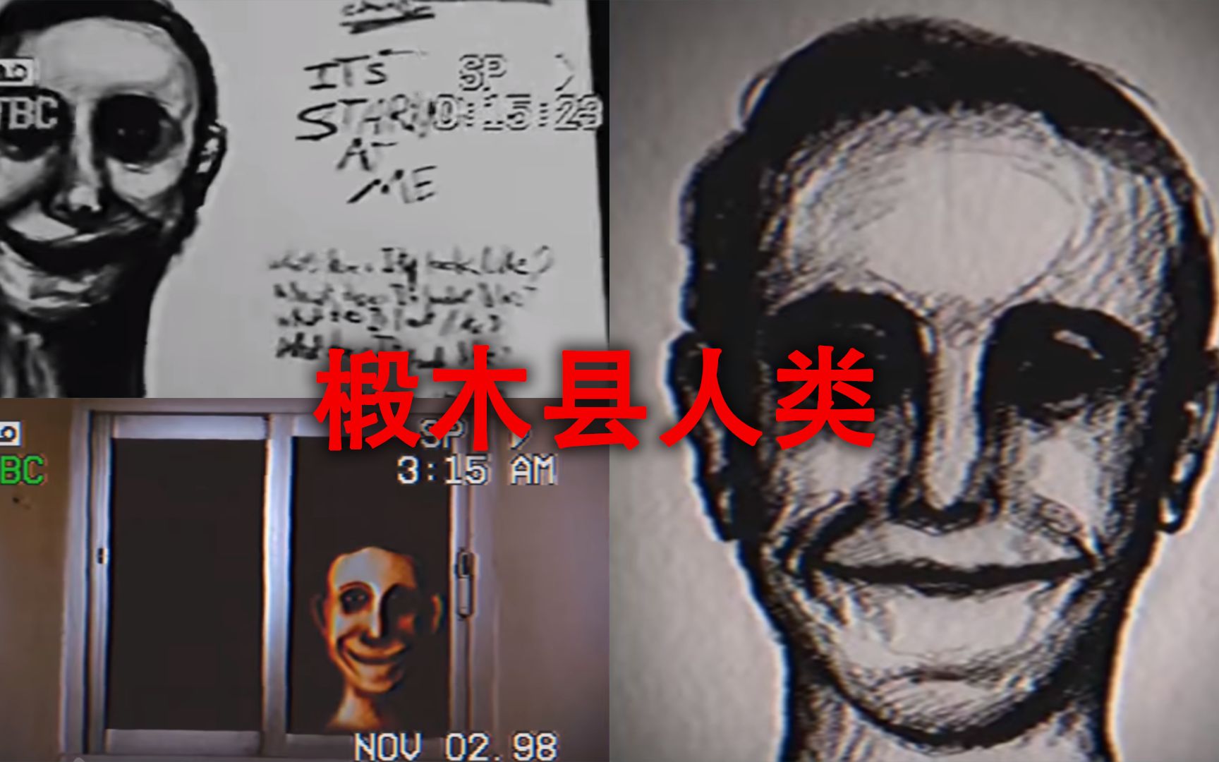 椴木县人类，据说一种是比伪人还凶残的类人生物。-夜听诡叔-夜听诡叔-哔哩哔哩视频