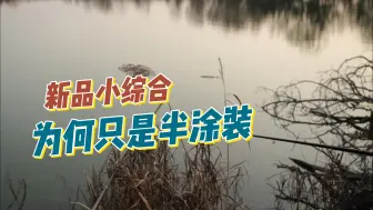 凌天二代小综合为何采用半涂装？