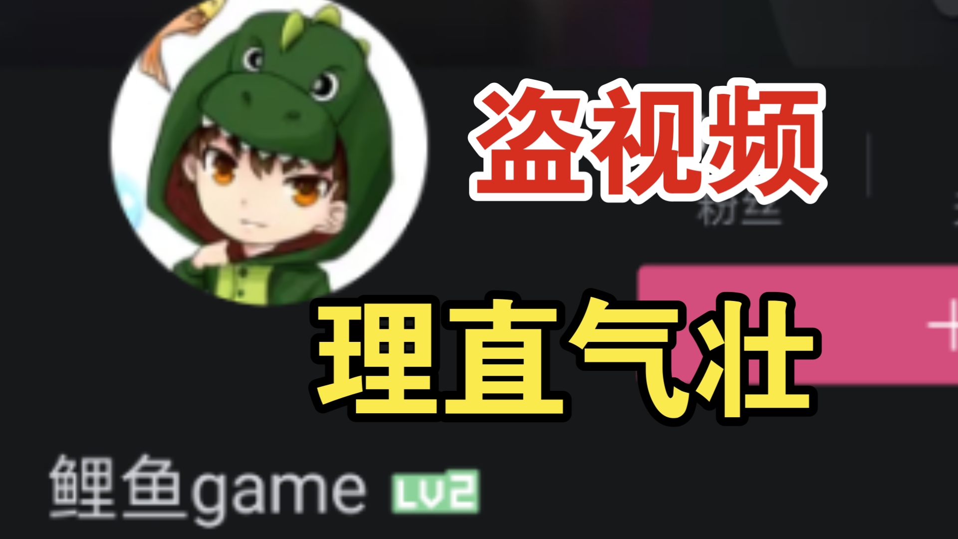 理直气壮的盗视频者