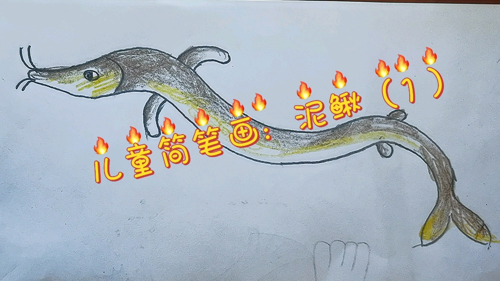 儿童简笔画:泥鳅(1)_哔哩哔哩_bilibili