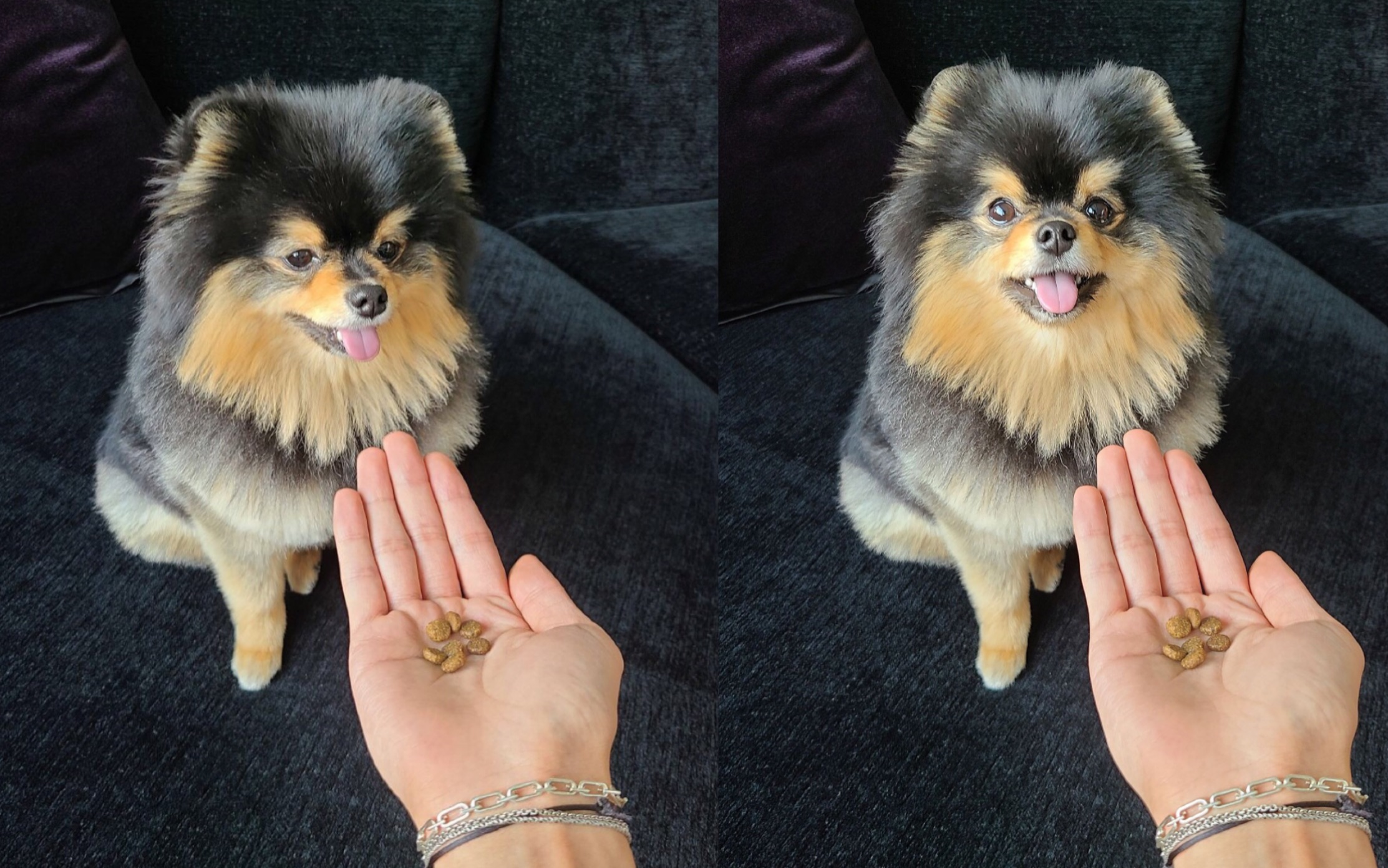 【bts】金碳:爸爸叔叔们太爱我了怎么办?