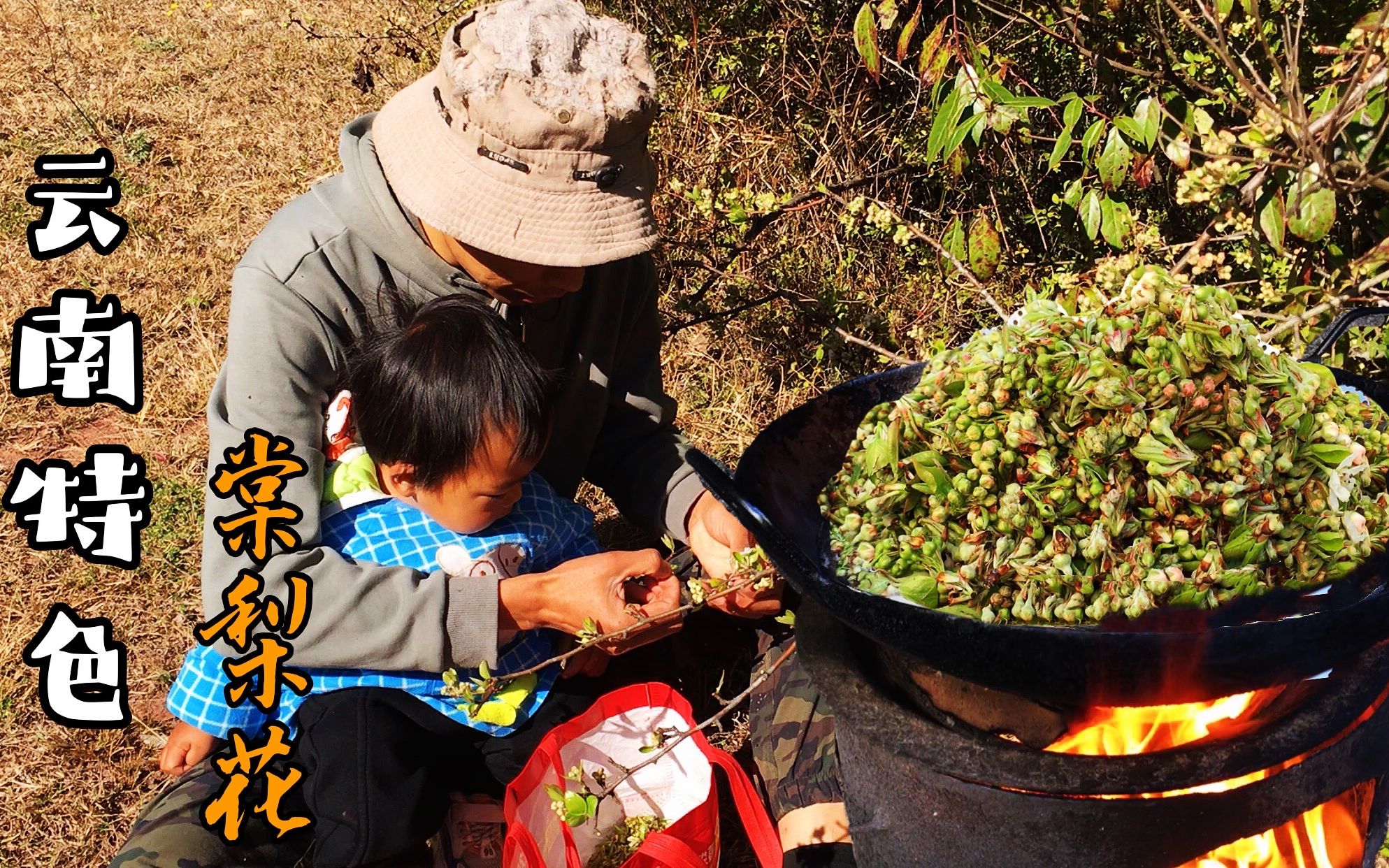 [图]云南大山美味野菜棠梨花太好吃了，小野一家从采摘到烹饪全过程，真香