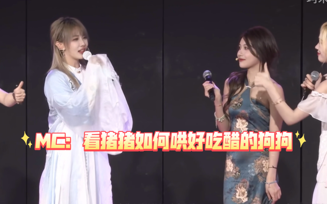 看猪猪如何哄好吃醋的金毛珂珂和柯基瑞子|珂珂想坑朱姐把自己坑进去