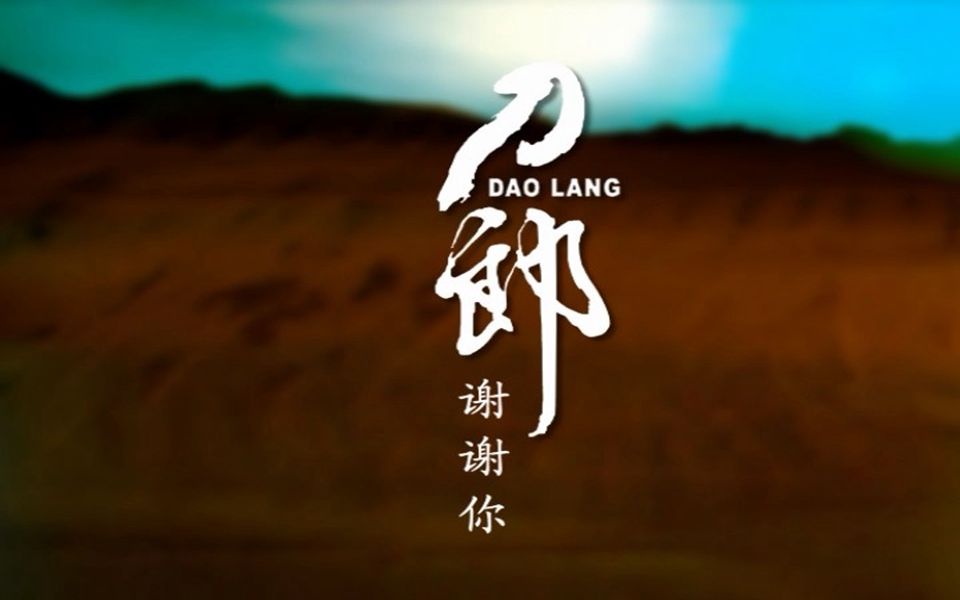 【dvd】刀郎《谢谢你 karaoke》