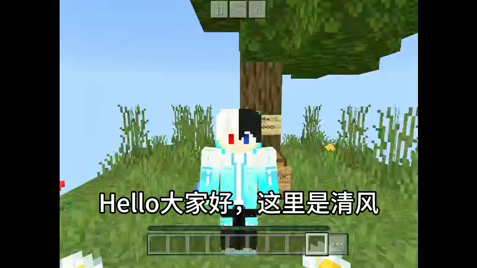 minecraft主播karl图片