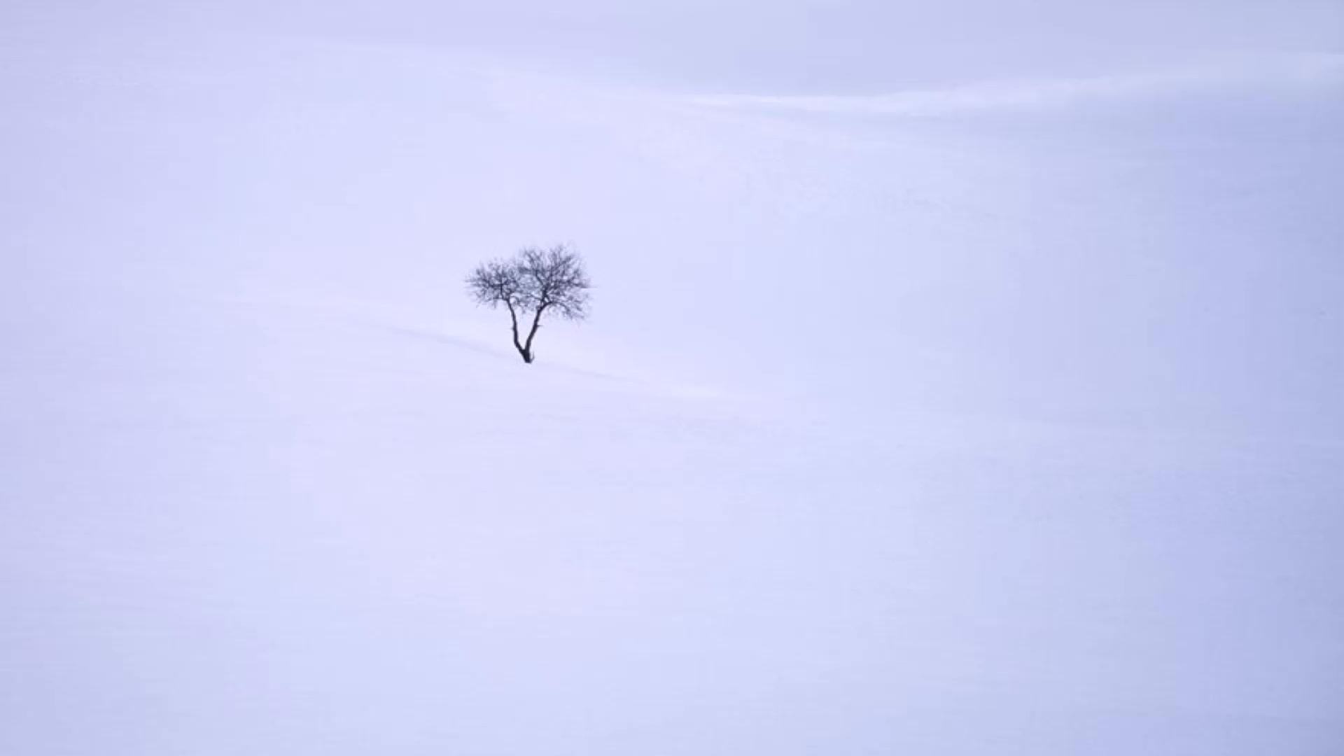 [图]萨克斯 A Whiter Shade of Pale（苍白的浅影）