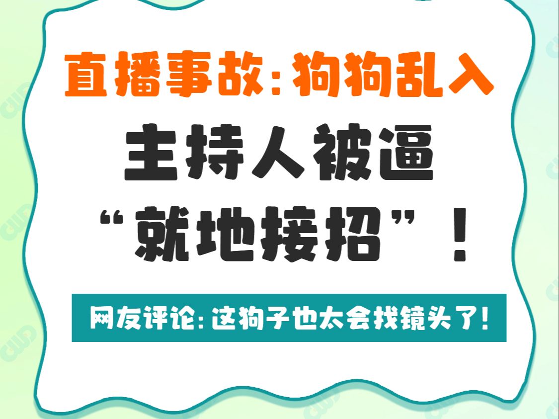 直播事故:狗狗乱入,主持人被逼“就地接招”!哔哩哔哩bilibili