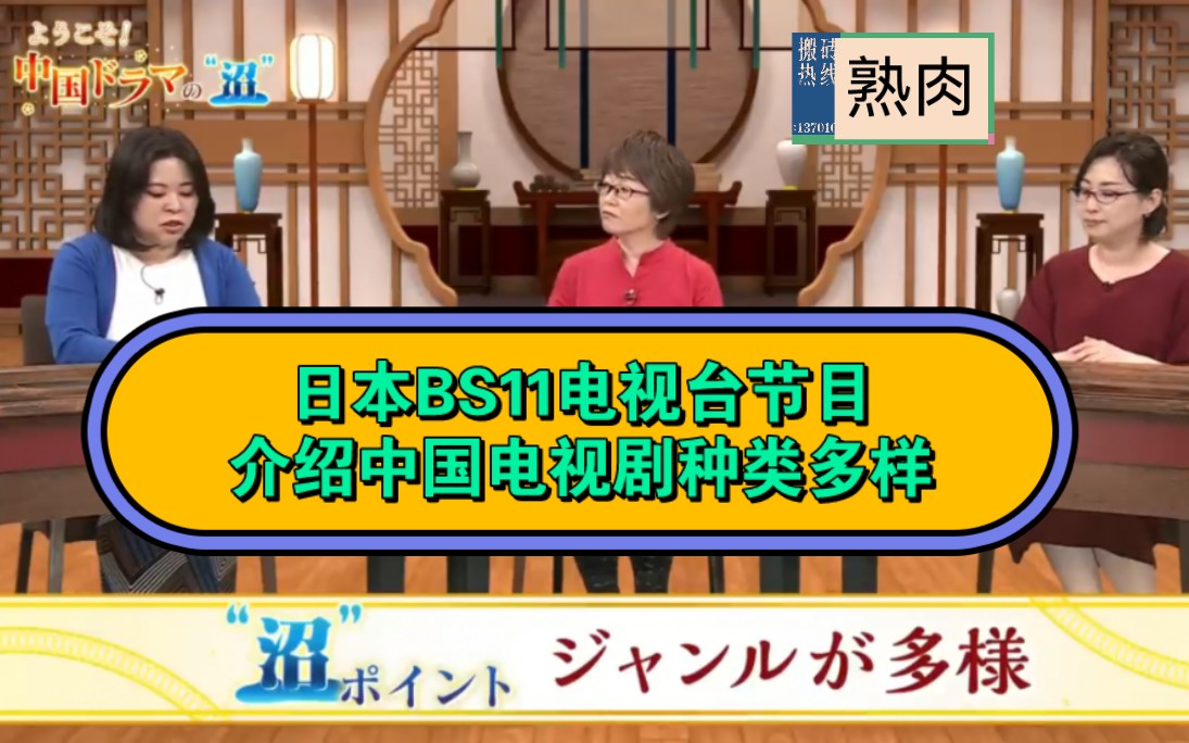 【熟肉】日本BS11电视台节目【入坑中国电视剧】介绍中国电视剧种类多样哔哩哔哩bilibili