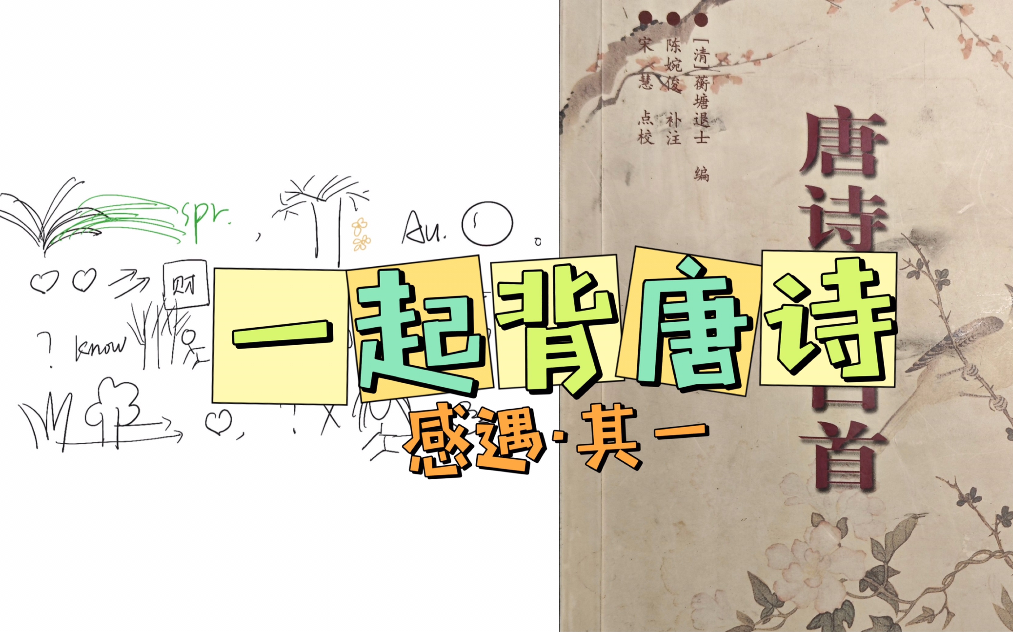 【唐诗三百首】我好像在背一种很抽象的诗之感遇(其一)