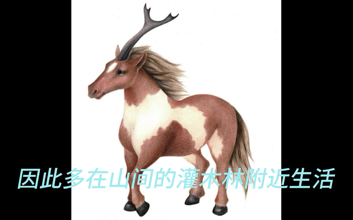 山海经动物奇兽_34疏