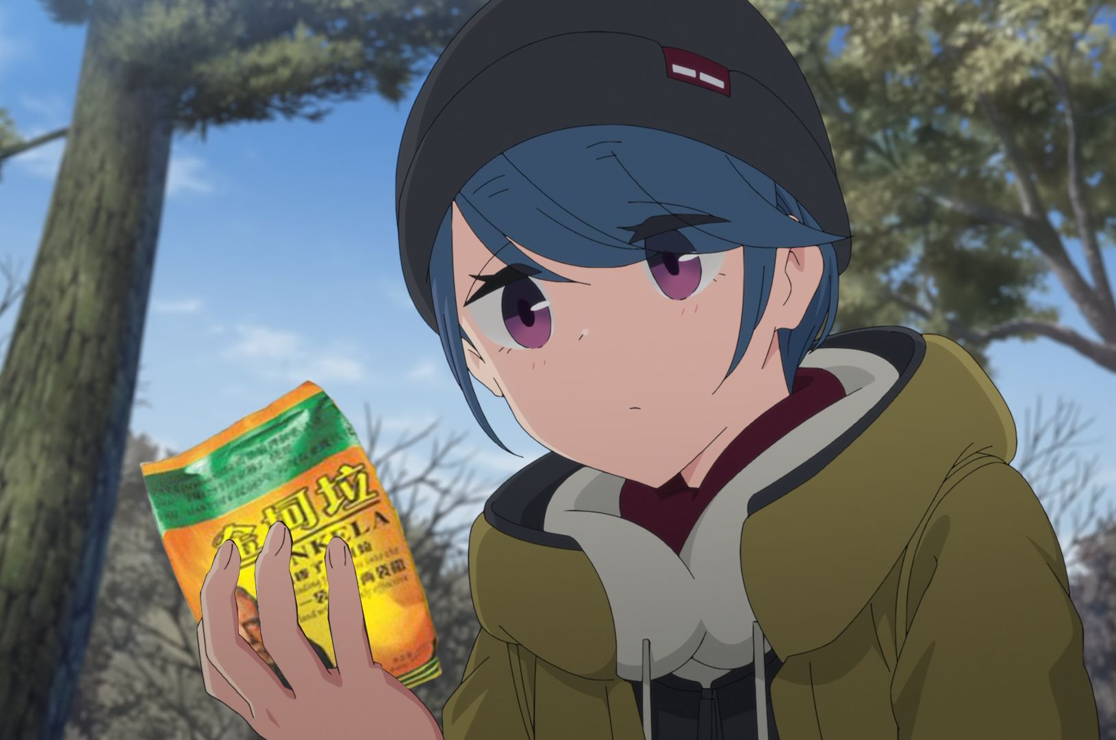 【金坷垃】摇曳露营△have a nice day op