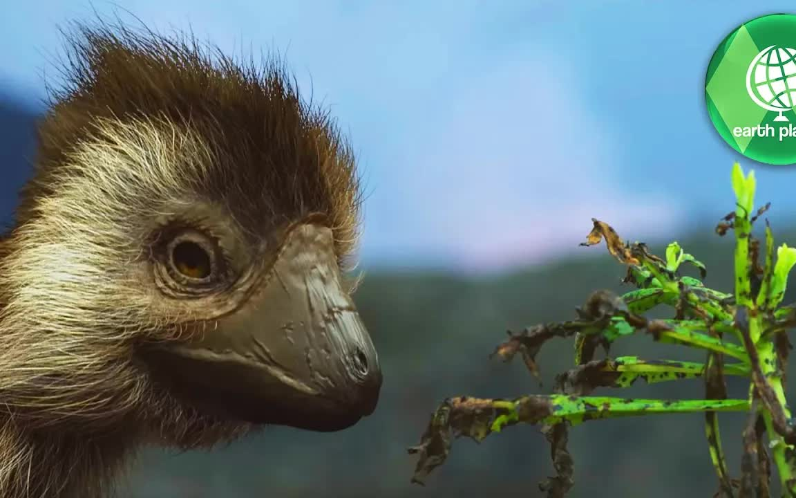 库林达奔龙古林达奔龙躲避捕食者史前恐龙视频