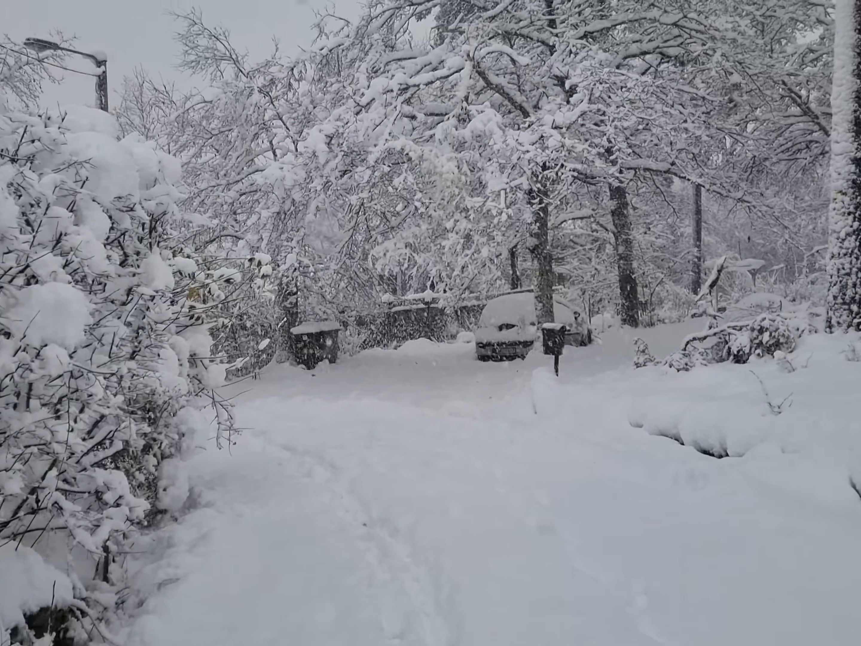 [图]大雪下的安静行走，享受自然之声