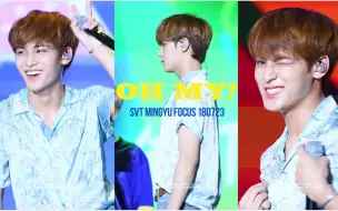 Download Video: [4K]180723 蔚山Summer Festival Oh My！+万岁+VeryNce SEVENTEEN 珉奎FOCUS