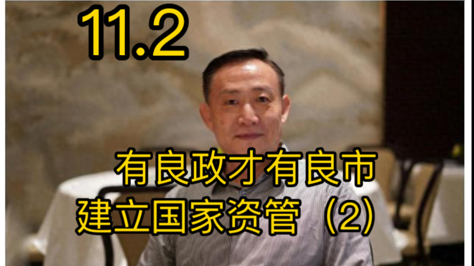 11.2号卢麒元:有良政才有良市场建立国家资管非常重要(2)哔哩哔哩bilibili