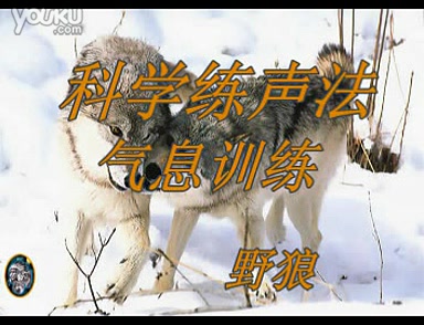 科学练声法 气息训练  野狼