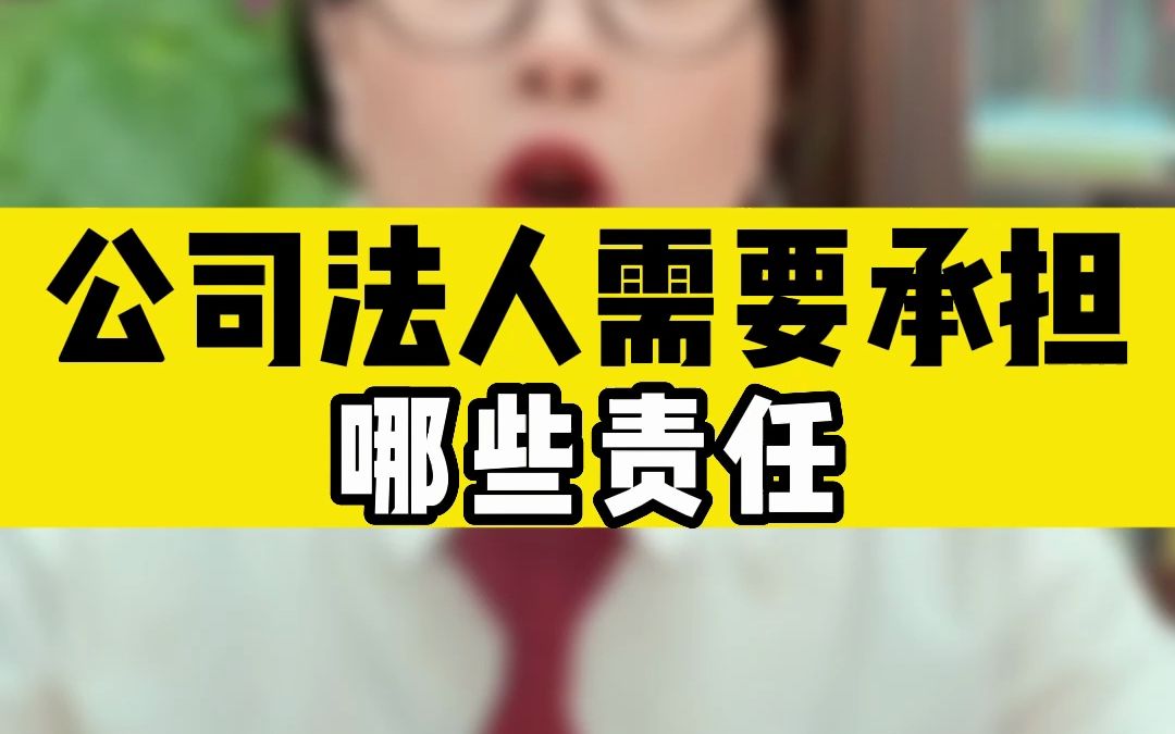 公司法人需要承担哪些责任?哔哩哔哩bilibili