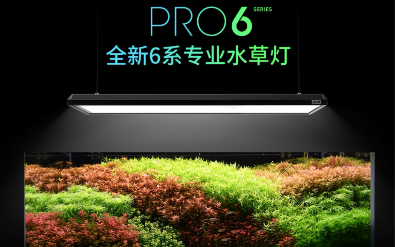 尼特利6系水草灯上市啦