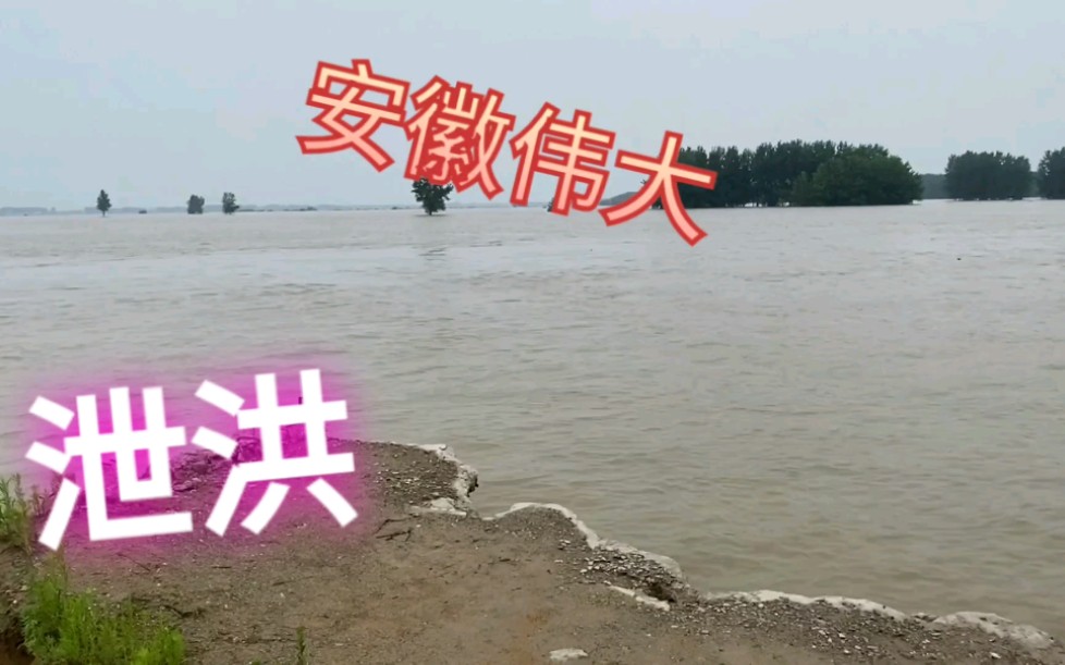 安徽王家坝开闸泄洪,20万村民舍小家为大家,为什么还会有地域黑?哔哩哔哩bilibili