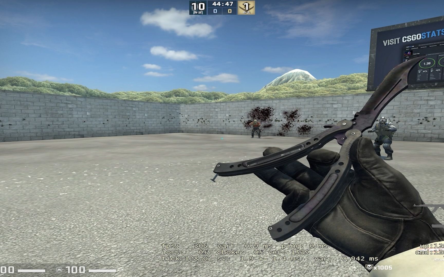 csgo练枪每天1000bot day1