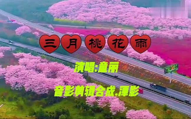 [图]好歌推荐【三月桃花雨】董丽.声音如此缠绵悦耳动听！