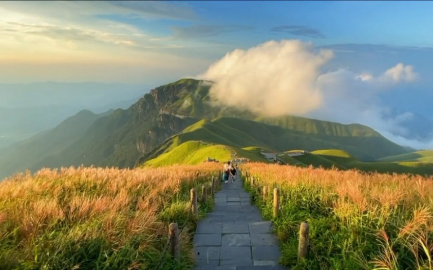 [图]“喜欢夏天的风景，光很温柔也很清晰”