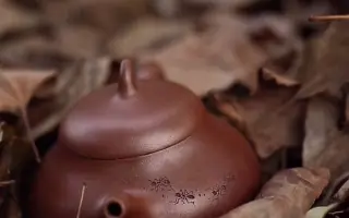 庄庄紫砂：你敢相信，这两把壶是同种泥料么？猜猜哪一把烧的温度更高？