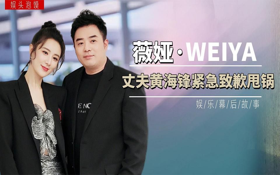 活动作品薇娅被罚绝非偶然人民日报锐评大快人心其丈夫董海锋难辞其咎