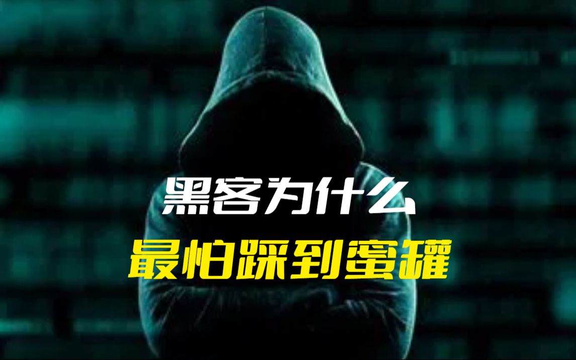 黑客为什么最怕的竟然是踩到蜜罐,蜜罐到底是什么?哔哩哔哩bilibili