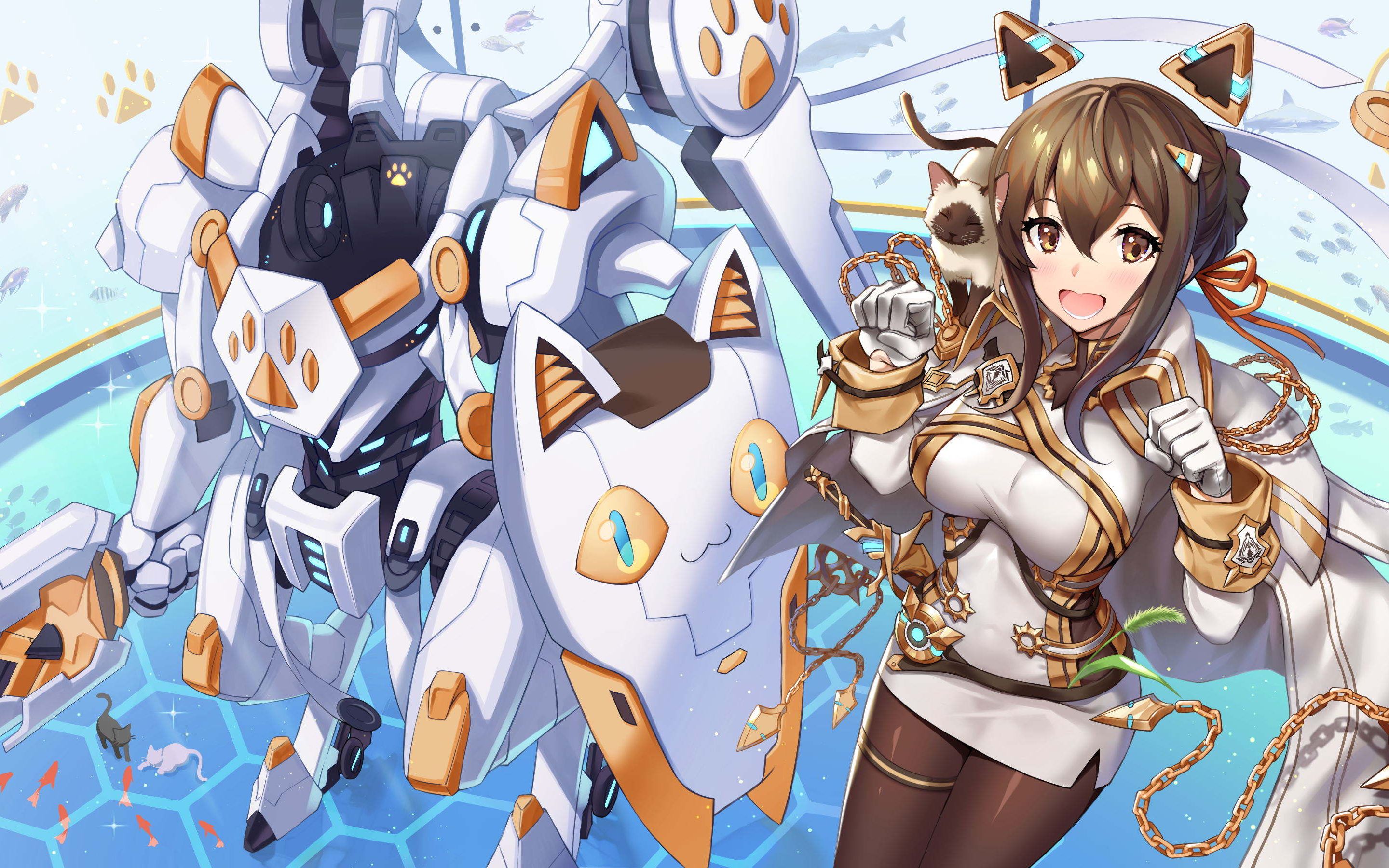 重装战姬—护盾永存,50级喵喵本通关视频