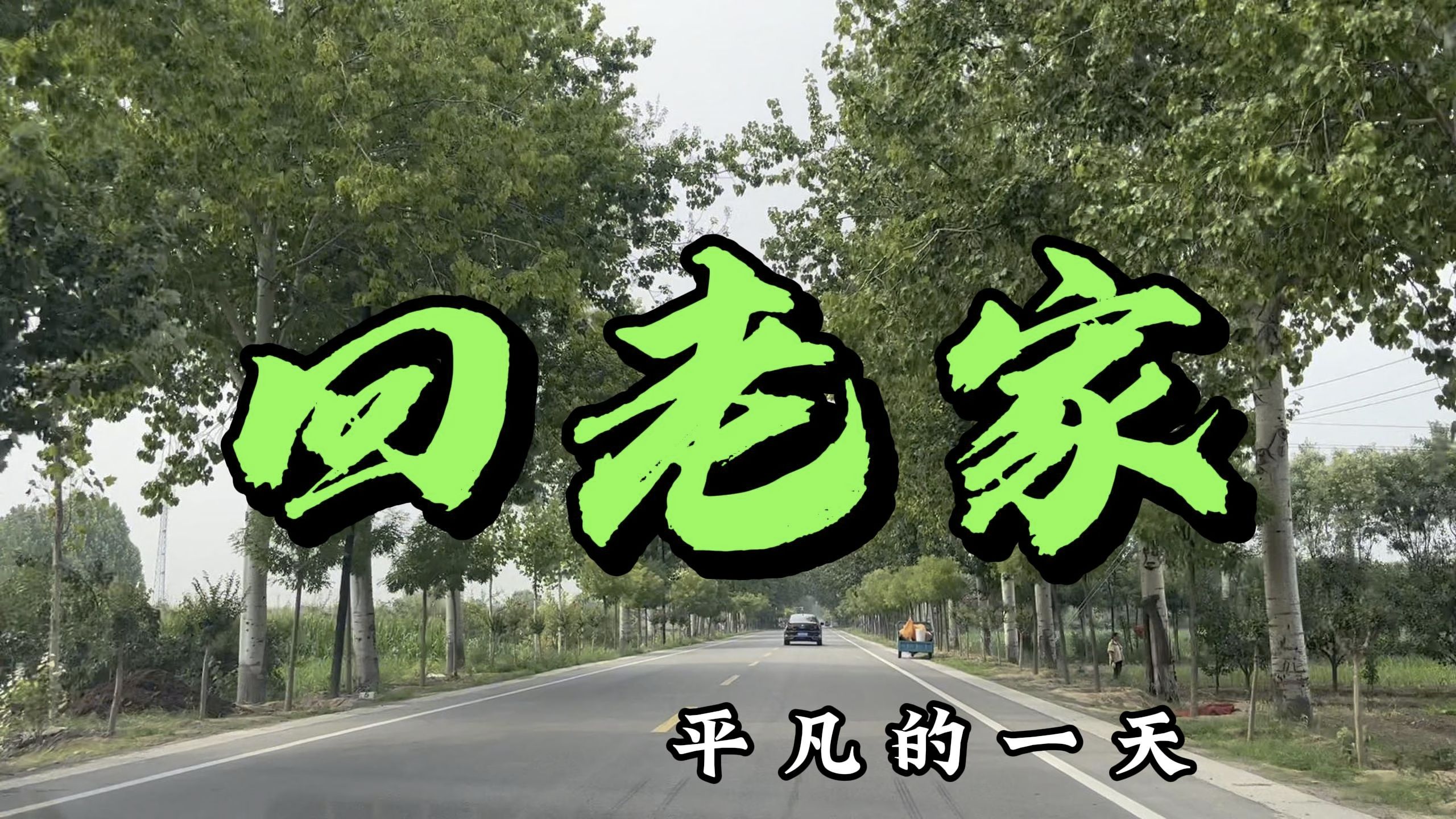 周末开车回农村老家办事,一路上风景美如画,全家都开心极了!