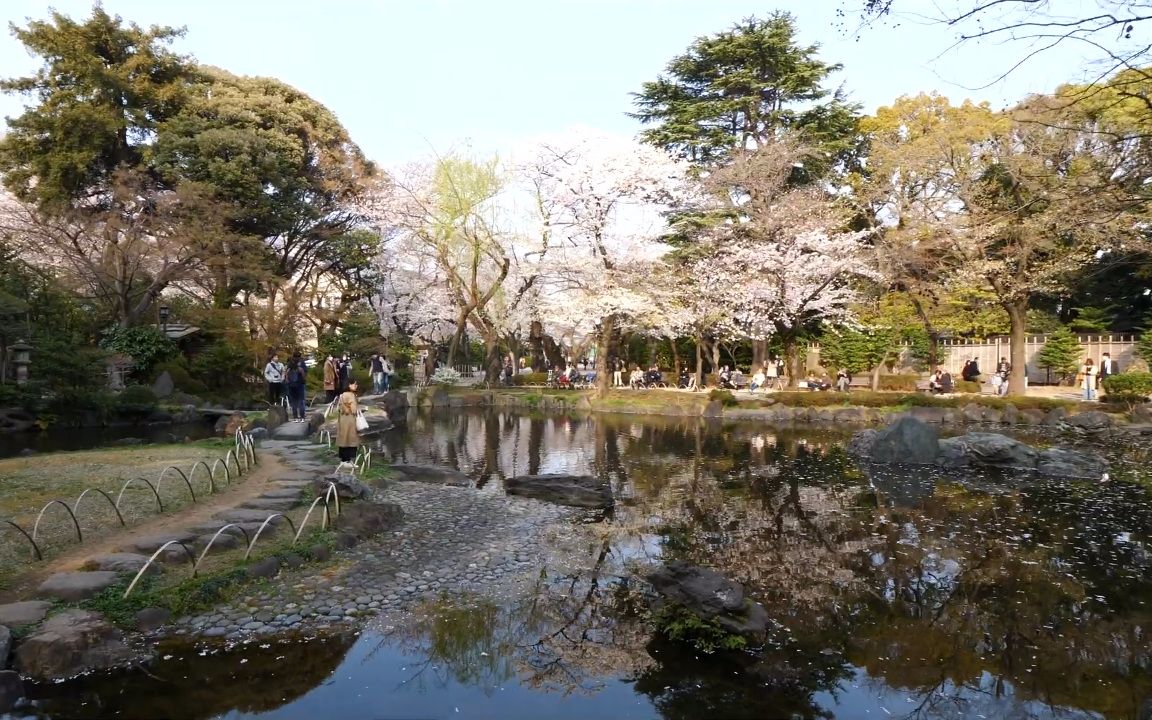 【超清日本】漫步东京千代田区-北之丸公园-神池庭园 2019.