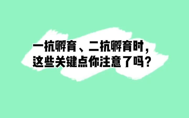 WB实验时,进行一抗孵育、二抗孵育的操作时,这些关键点你注意了吗?#WB#免疫#实验#科研哔哩哔哩bilibili