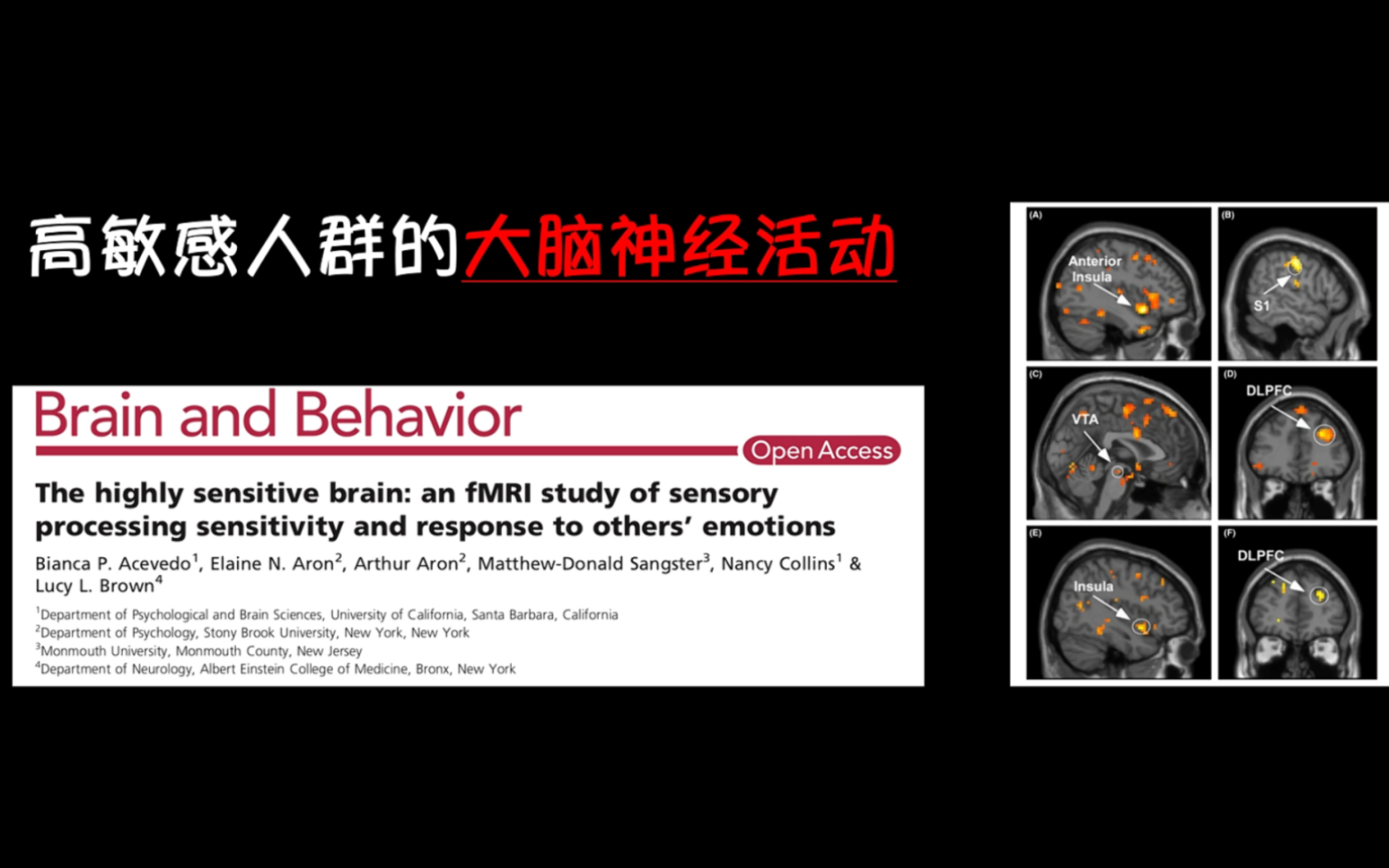 HSP|高敏感人群的大脑神经活动哔哩哔哩bilibili