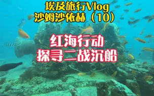 Скачать видео: 心中总有一些心心念念的地方，那就努力去吧，不给人生留遗憾！红海二战沉船，我心心念念的旅行地，我来啦！#埃及#潜水#玩转地球