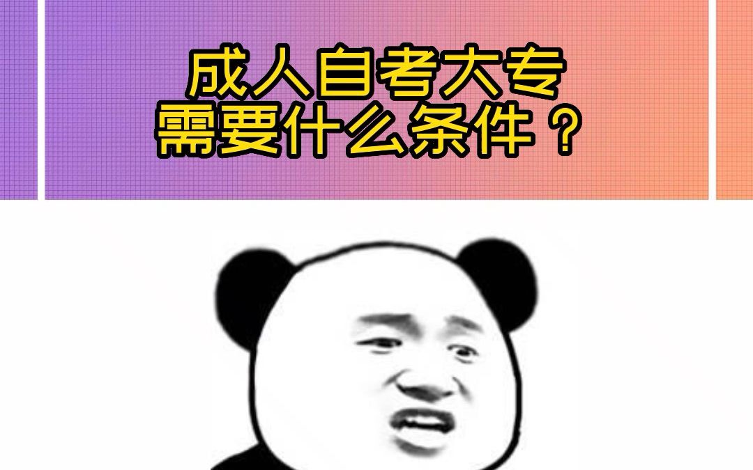 成人自考大专需要什么条件?哔哩哔哩bilibili