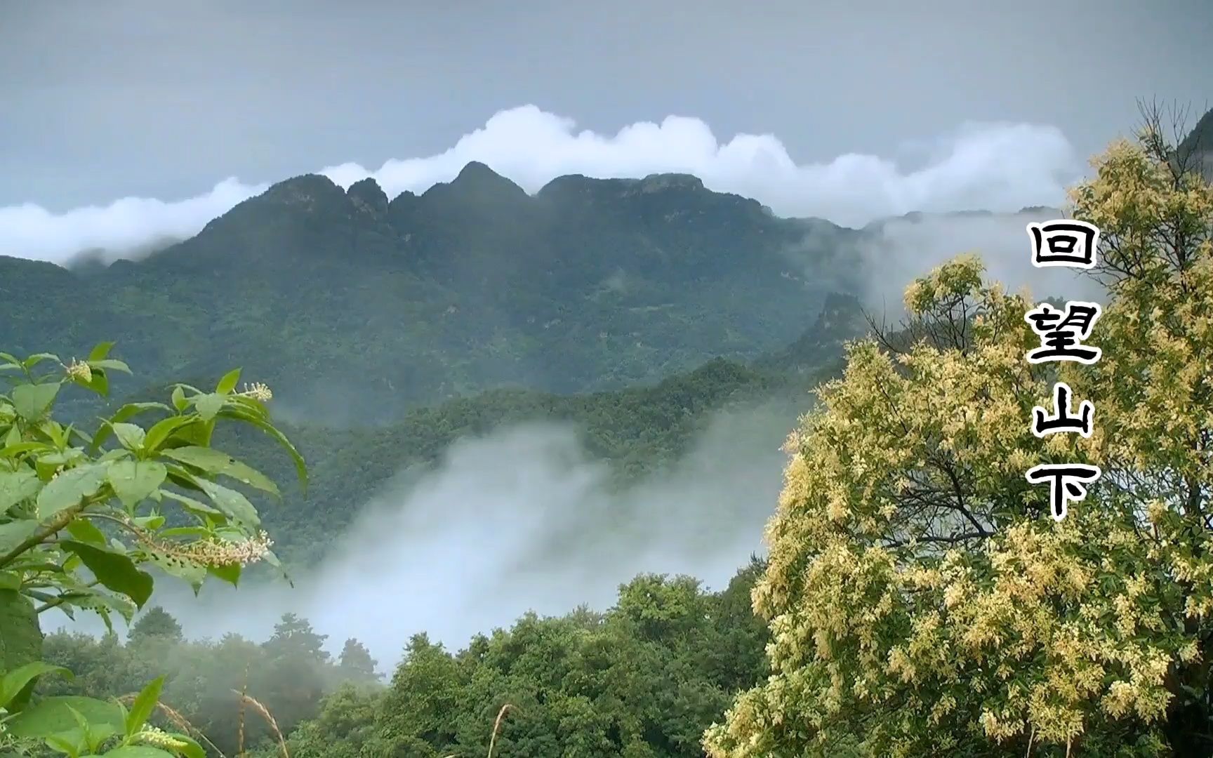 唐诗三百首《终南山》王维哔哩哔哩bilibili