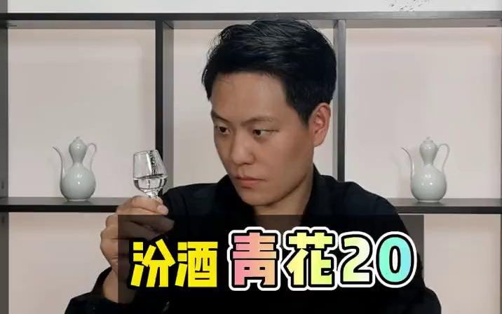 【酒文化】汾酒中的中高端产品,汾酒青花20到底怎么样呢?这期视频我们来测评一下.哔哩哔哩bilibili