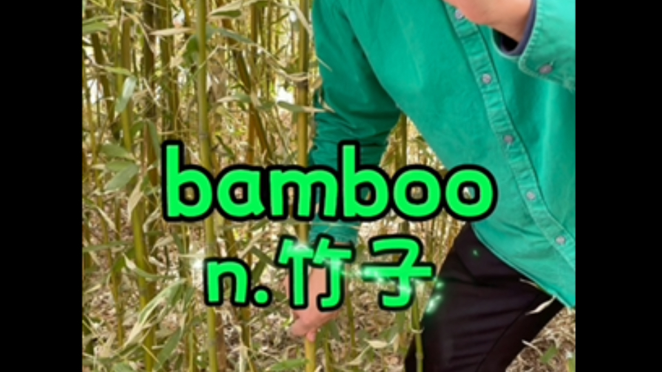 bamboo【竹子】古代人用竹子颁布法令bloom【绽放】花儿绽放了600米哔哩哔哩bilibili