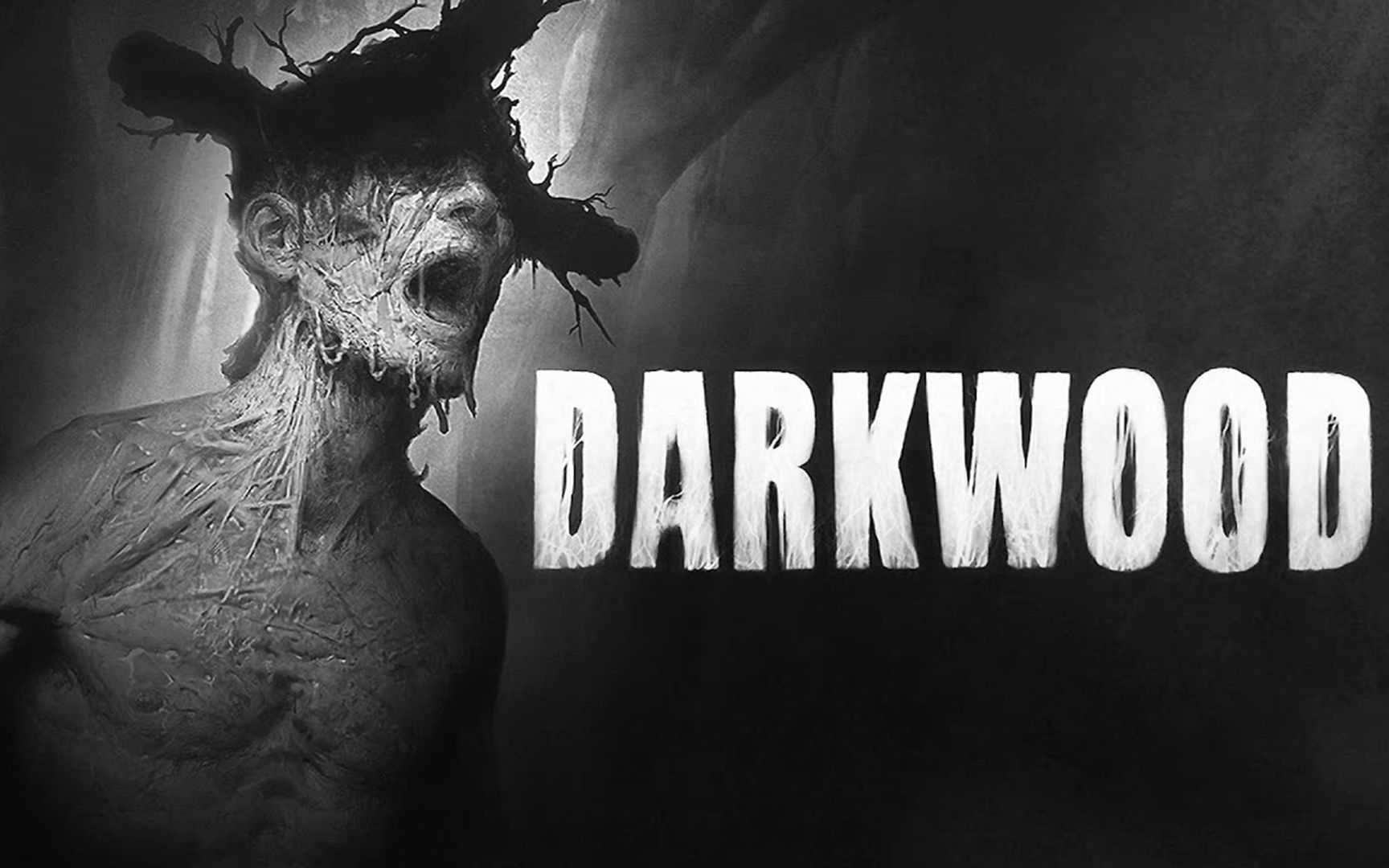 [图]《阴暗森林》最速通关speedrun Darkwood Any% in 29m 18s