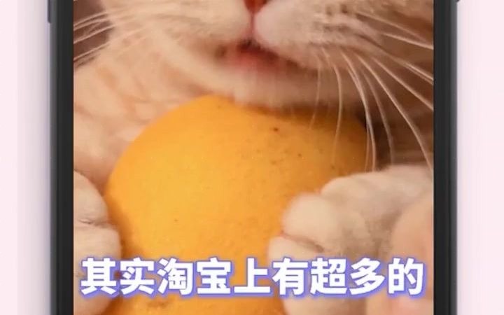 淘客京东的返利网优惠券哔哩哔哩bilibili