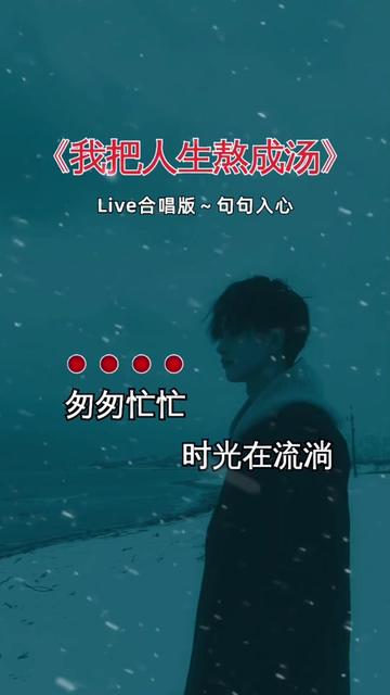 我把人生熬成汤