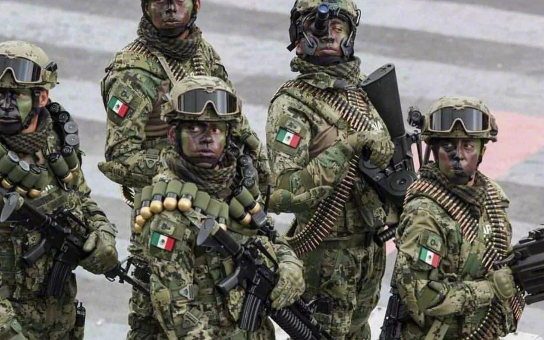 墨西哥 海军陆战队 缉毒