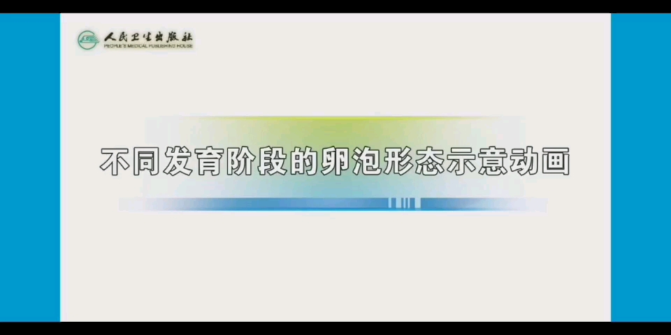 【妇产科学】不同发育阶段的卵泡形态示意动画哔哩哔哩bilibili